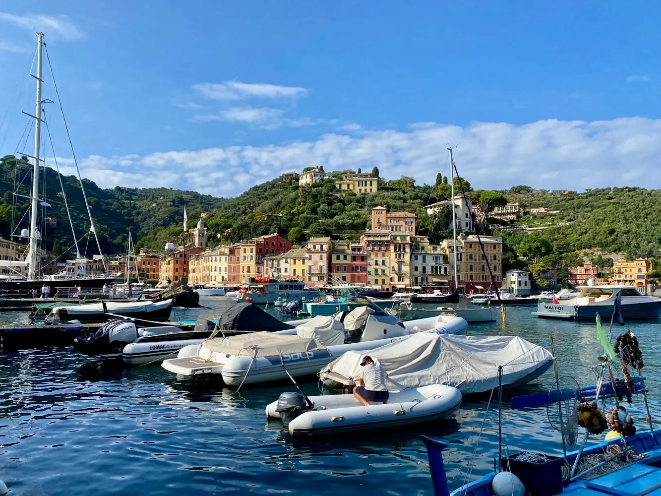 Boats in the Portofino Italy harbor