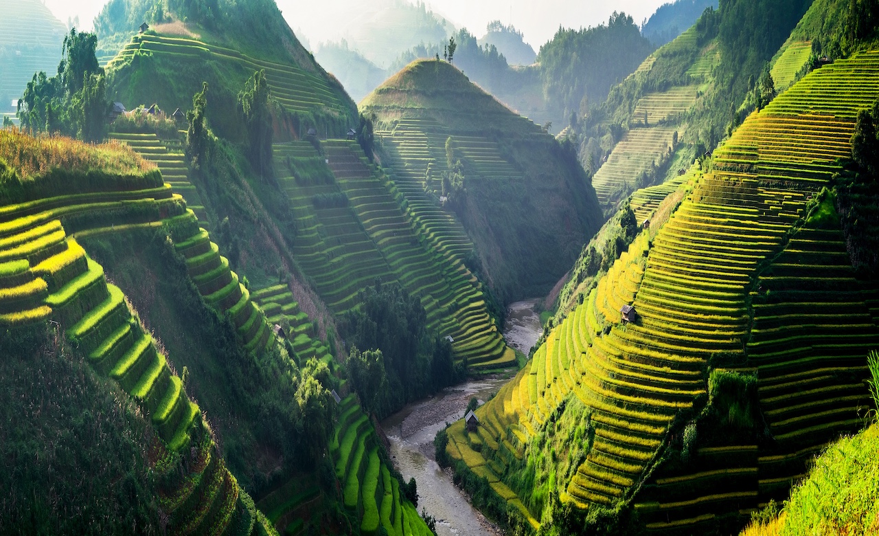 Rice fields on terraced in Northwest of Vietnam.