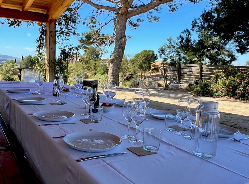 Gramona lunch at the winery in Catalonia (Catalunya) Spain. Perfect Gramona tour to try for an option on catalnia wine tours.