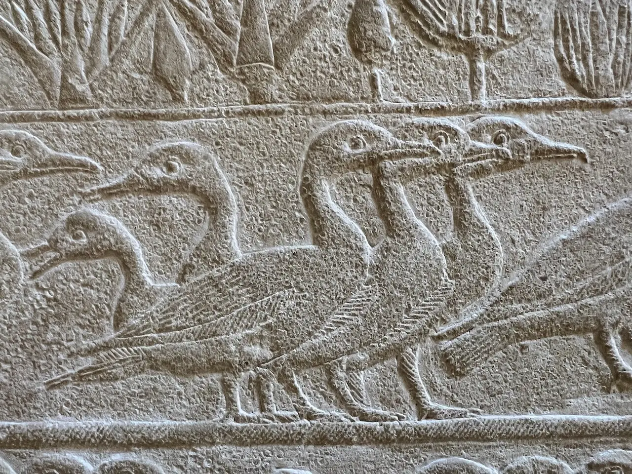 Egyptian relief of ducks in Giza